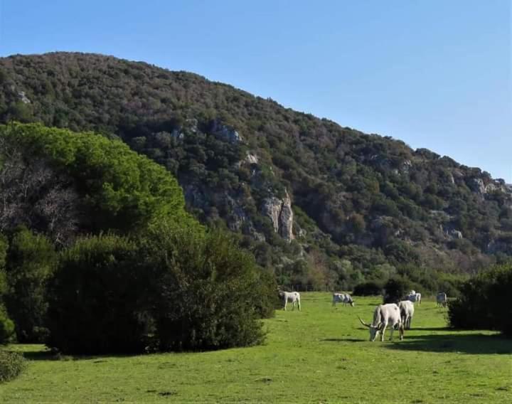 Hotel B&B Rispescia Grosseto 외부 사진