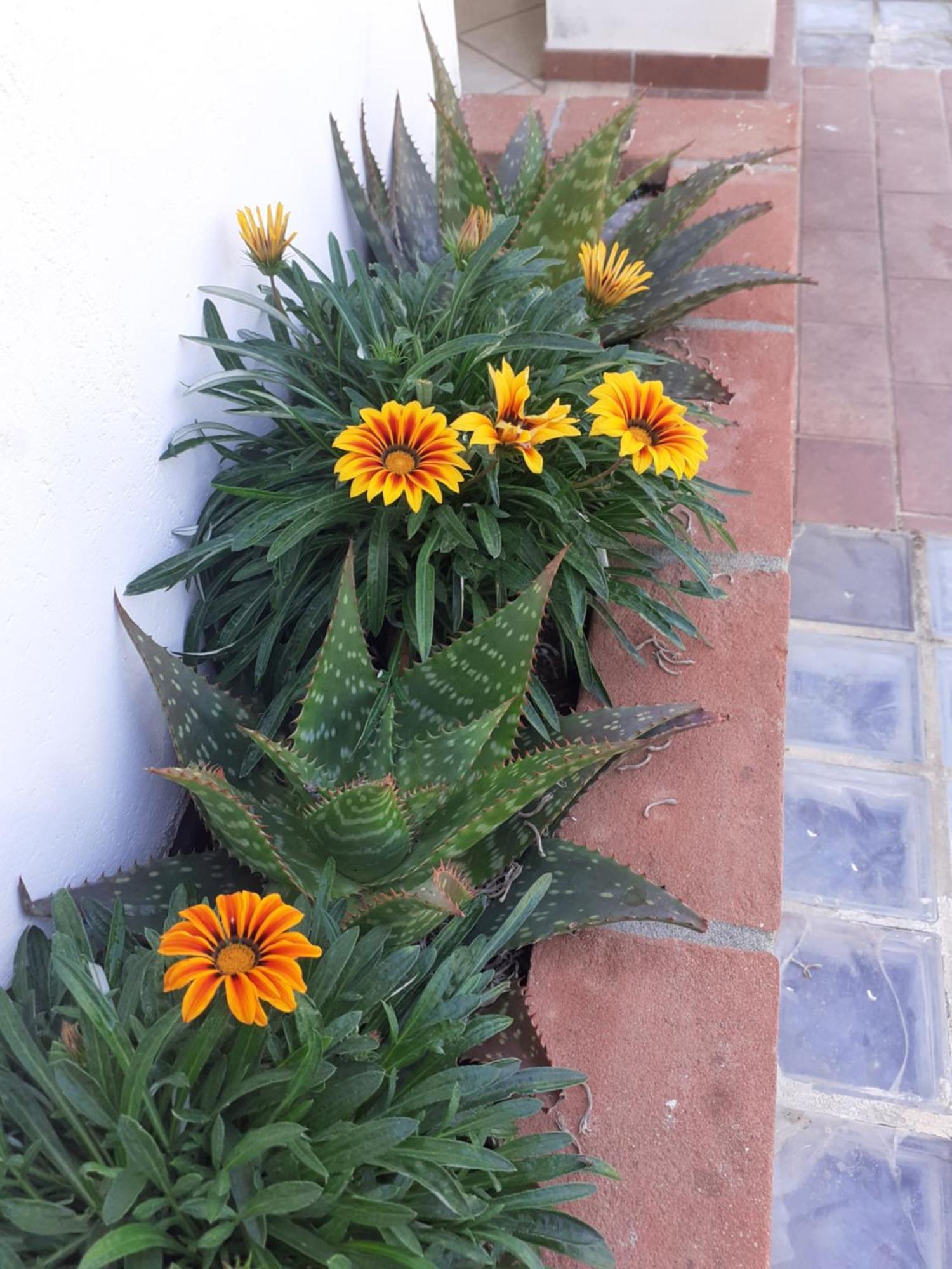 Hotel B&B Rispescia Grosseto 외부 사진