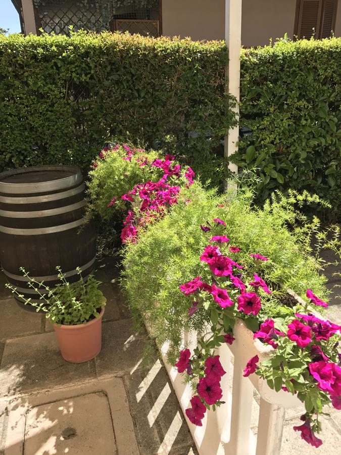 Hotel B&B Rispescia Grosseto 외부 사진