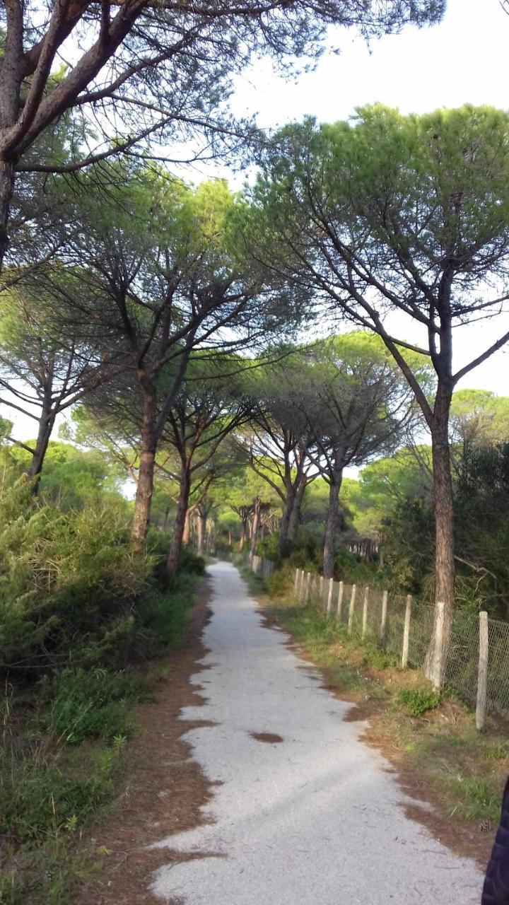 Hotel B&B Rispescia Grosseto 외부 사진